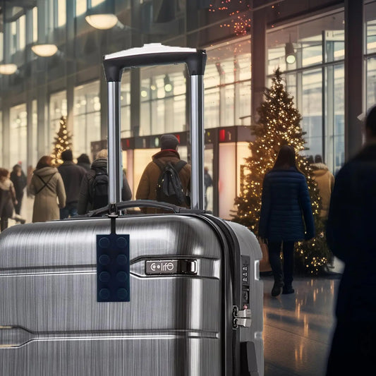 LEGO® Bag Tag 2x4 - Black (53654) IQ Hong Kong, Ltd.