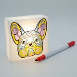 Zoolight DIY Create Your Own Coloring Night Light Craft Kit - Bulldog (ZNBD)