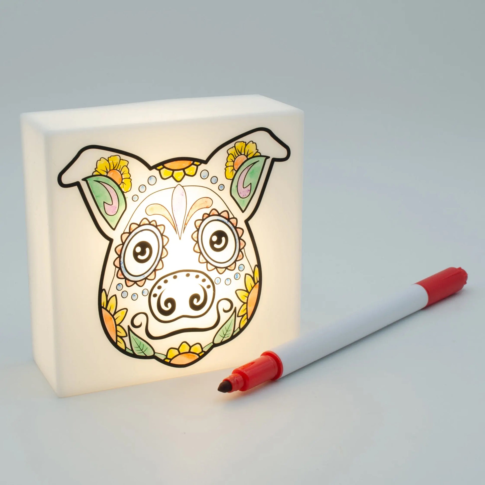 Zoolight DIY Create Your Own Coloring Night Light Craft Kit - Pig (ZNPI) IQ Hong Kong, Ltd.