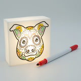 Zoolight DIY Create Your Own Coloring Night Light Craft Kit - Pig (ZNPI)