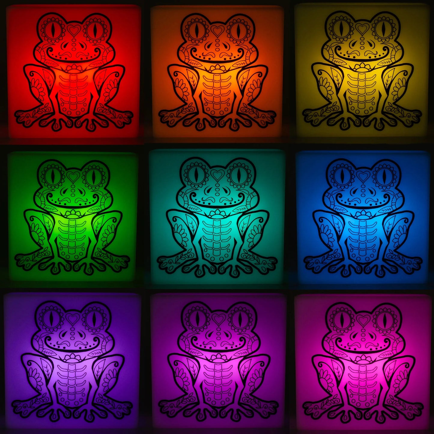Zoolight DIY Create Your Own Coloring Night Light Craft Kit - Frog (ZNFR) IQ Hong Kong, Ltd.