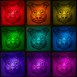 Zoolight DIY Create Your Own Coloring Night Light Craft Kit - Pig (ZNPI)