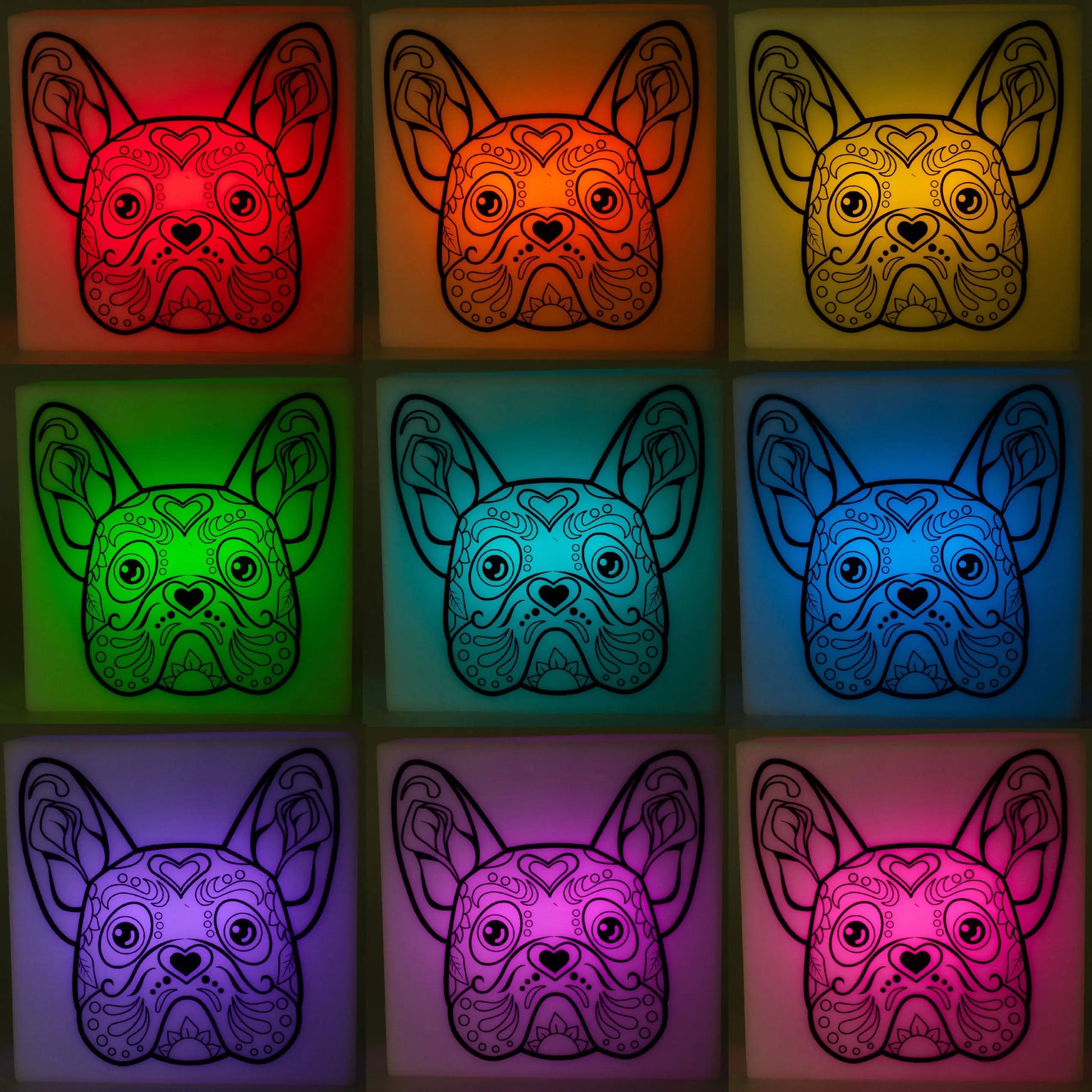 Zoolight DIY Create Your Own Coloring Night Light Craft Kit - Bulldog (ZNBD) IQ Hong Kong, Ltd.
