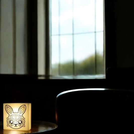 Zoolight DIY Create Your Own Coloring Night Light Craft Kit - Bunny (ZNBU) IQ Hong Kong, Ltd.