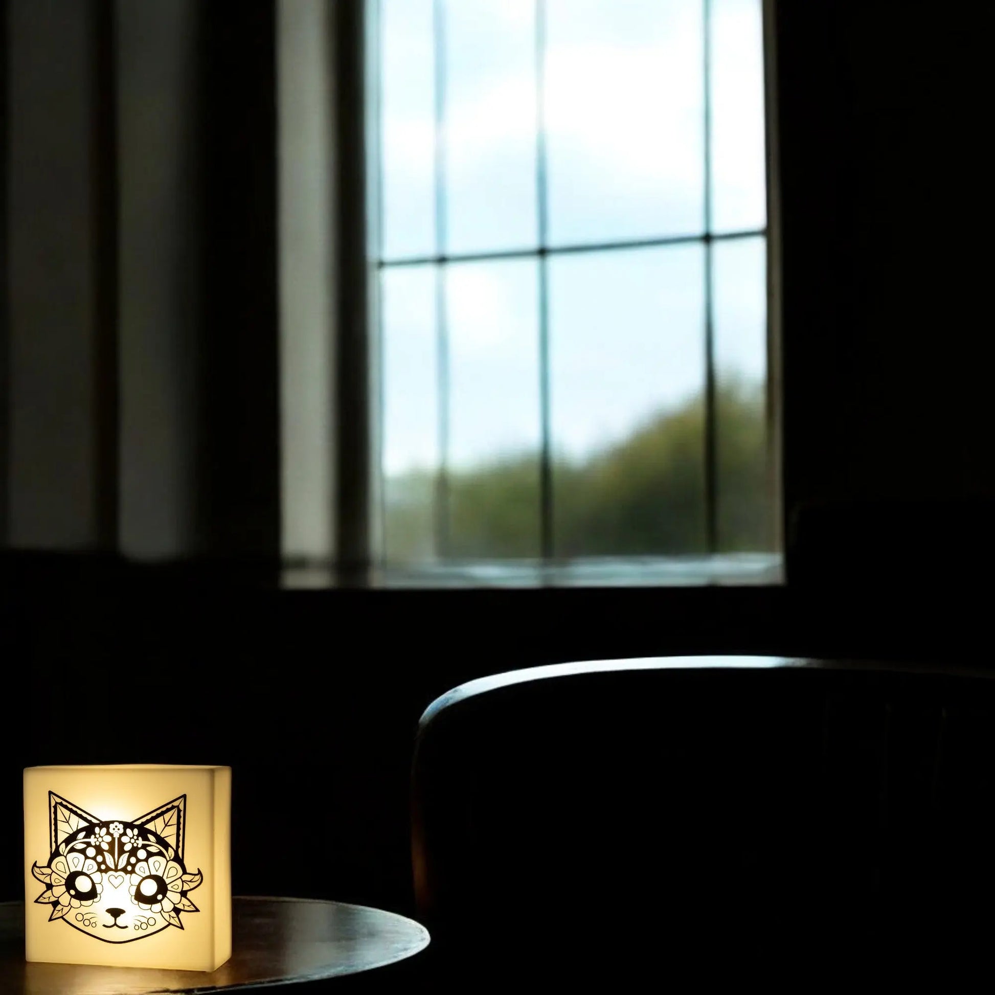 Zoolight DIY Create Your Own Coloring Night Light Craft Kit - Cat (ZNCA) IQ Hong Kong, Ltd.