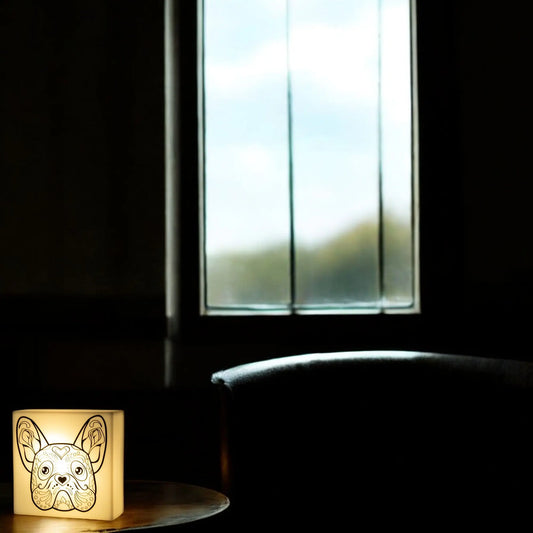 Zoolight DIY Create Your Own Coloring Night Light Craft Kit - Panda (ZNPA) IQ Hong Kong, Ltd.