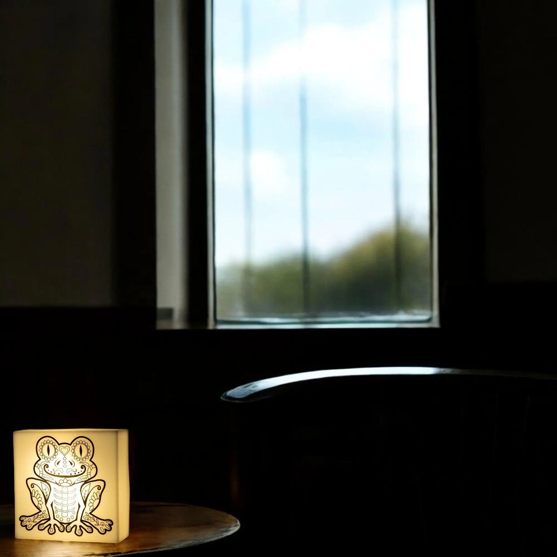 Zoolight DIY Create Your Own Coloring Night Light Craft Kit - Frog (ZNFR) IQ Hong Kong, Ltd.