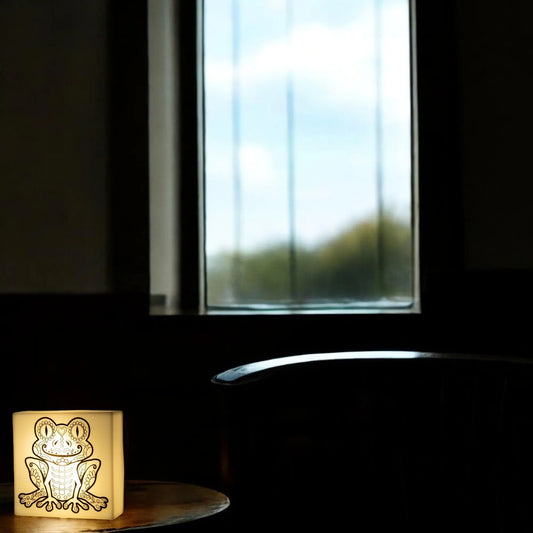 Zoolight DIY Create Your Own Coloring Night Light Craft Kit - Frog (ZNFR) IQ Hong Kong, Ltd.