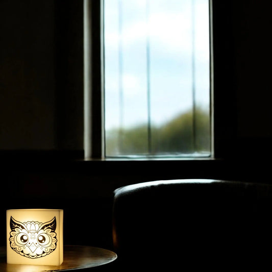 Zoolight DIY Create Your Own Coloring Night Light Craft Kit - Owl (ZNOW) IQ Hong Kong, Ltd.