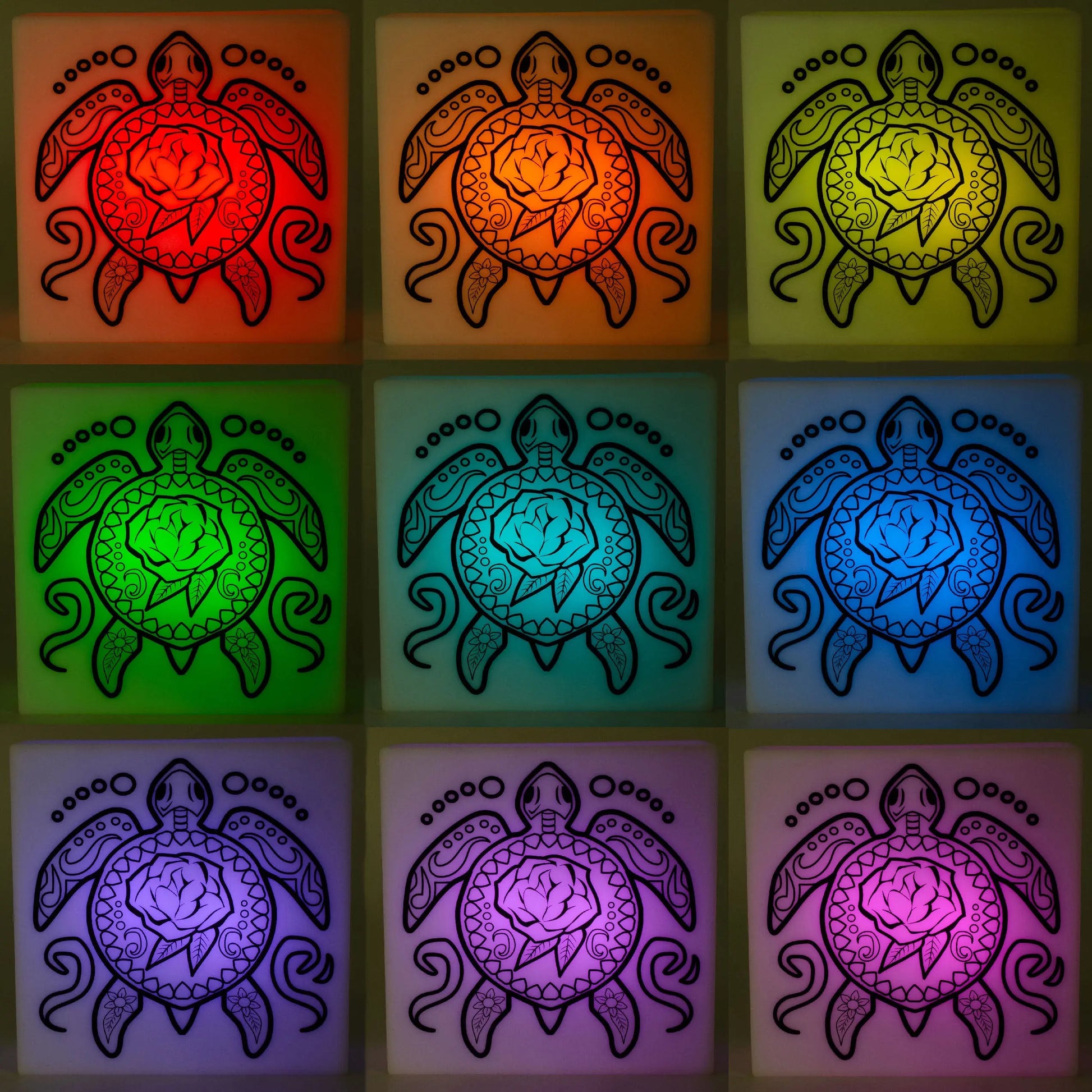 Zoolight DIY Create Your Own Coloring Night Light Craft Kit - Turtle (ZNTU) IQ Hong Kong, Ltd.